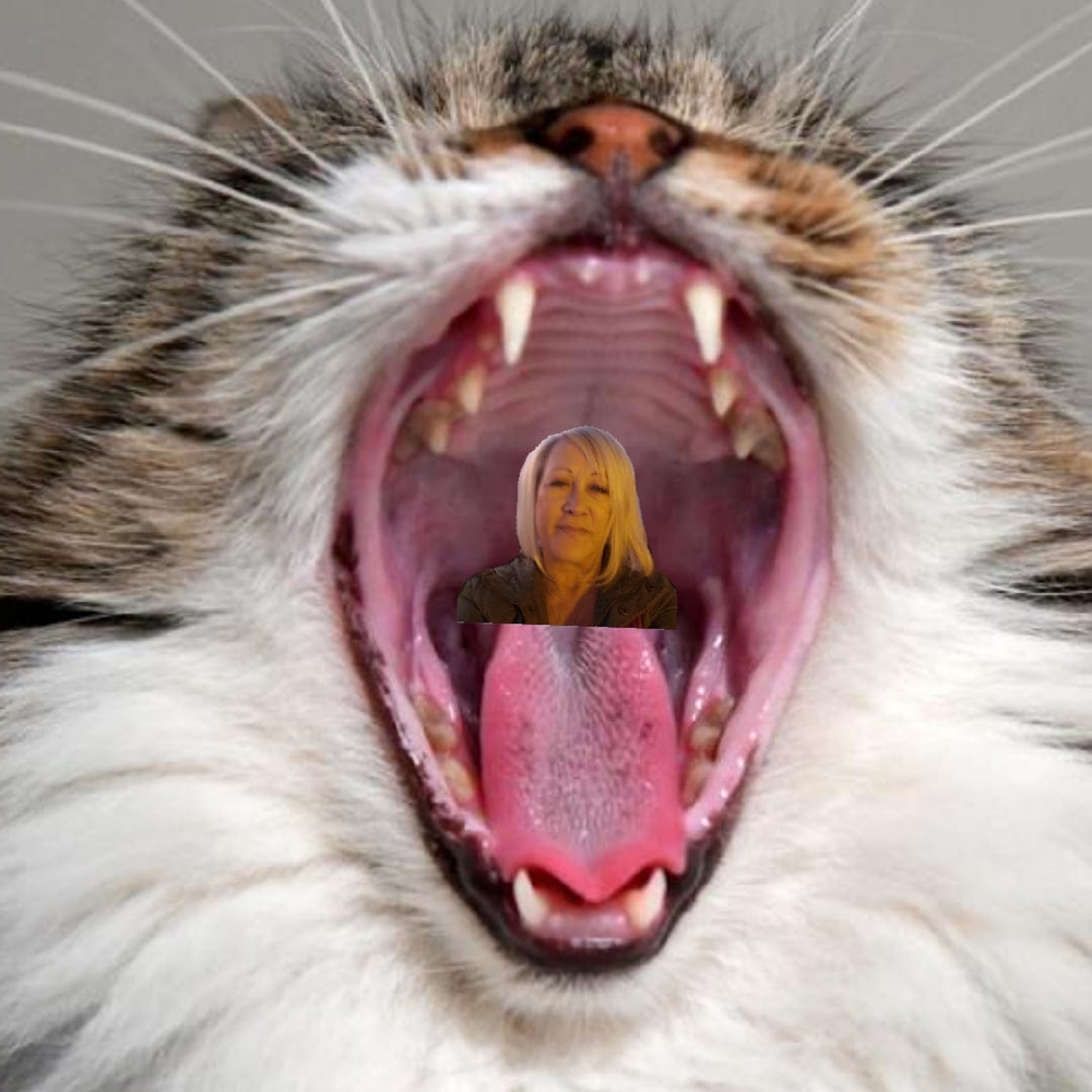 Meet your Posher, Kristy